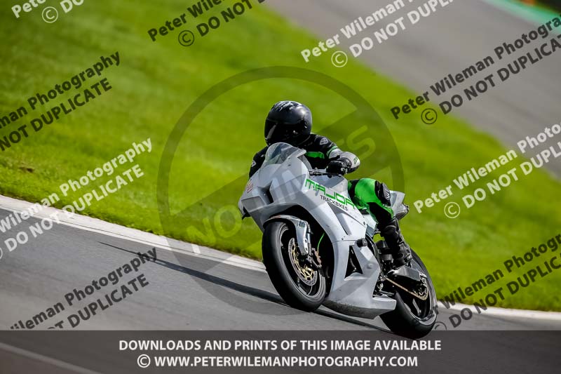 PJ Motorsport 2019;donington no limits trackday;donington park photographs;donington trackday photographs;no limits trackdays;peter wileman photography;trackday digital images;trackday photos